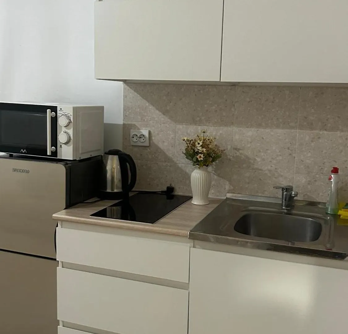 На Сайране Apartment Almaty Kazakhstan